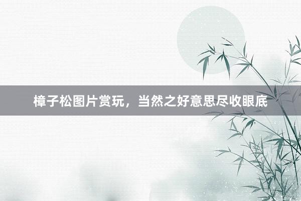 樟子松图片赏玩，当然之好意思尽收眼底